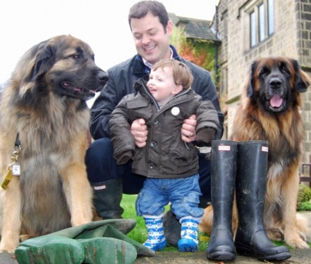 Sponsored dog walk in Harrogate