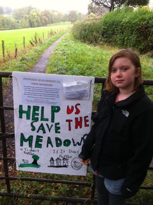 Locals Rally to Fight Meadow Walk Development Plans
