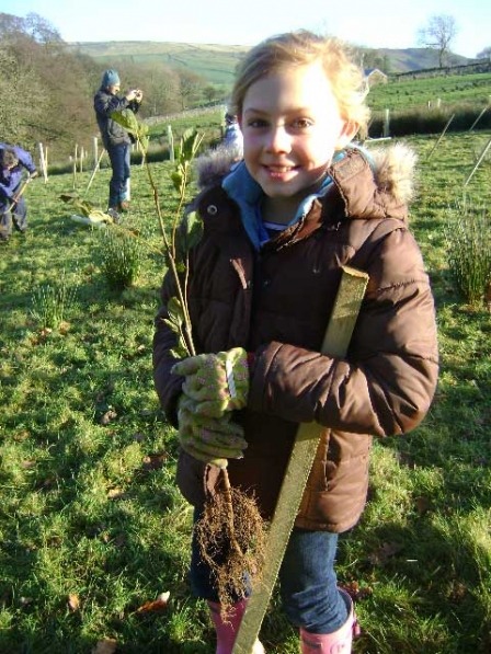 Pupils plant trees to offset carbon emissions from school run