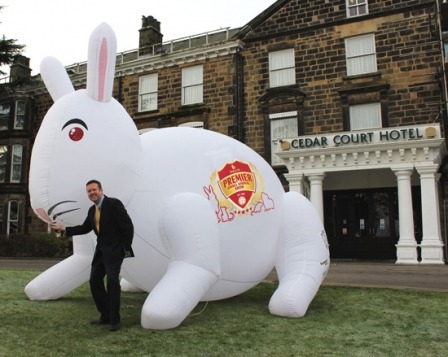 Bunny in Harrogate