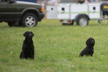 Boroughbridge Show02