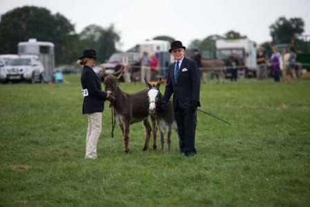 Boroughbridge Show27