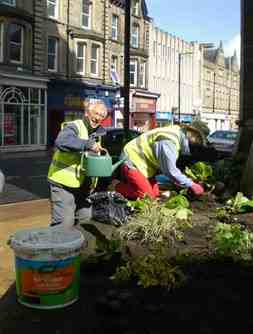 Volunteers in Harrogate getting ready for RHS Judges