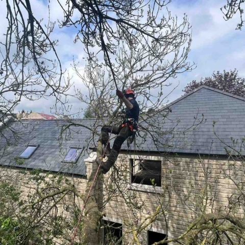 Joe Gaughan, 32, who completed an Arboriculture and Forestry Skills Bootcamp at Craven College