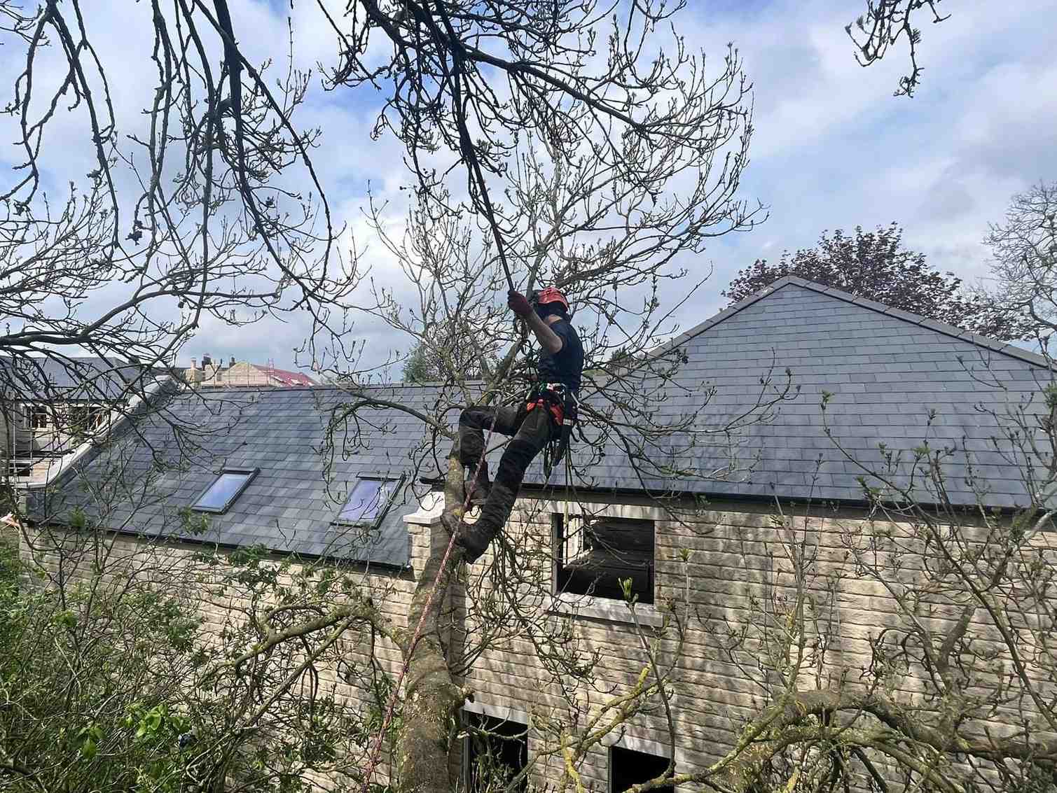 Joe Gaughan, 32, who completed an Arboriculture and Forestry Skills Bootcamp at Craven College