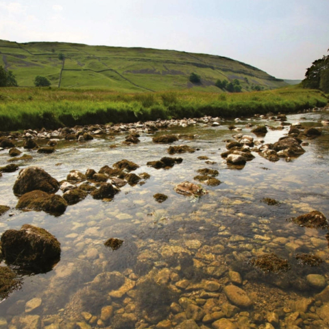 River Nidd Yorkshire Water